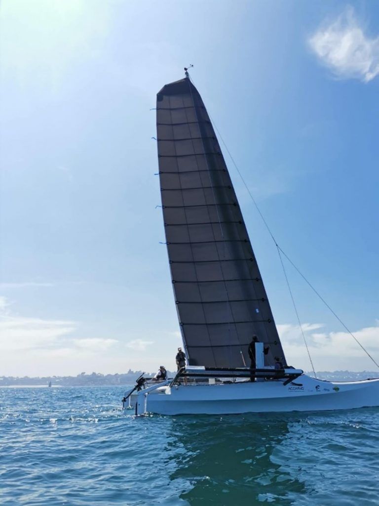 catamaran projet ACCWING